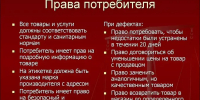 cFWQGQ1WpLC_LGhj4ELuTj16VY2agE7x3ojZeHk4_fit-in_1300x1300_filters_quality(80)_format(webp)_782329.selcdn.ru_leonardo_uploadsForSiteId_28222_content_12c80e06-1e58-4fe9-9b40-22f79fe7ed71 - Выселковское сельское поселение