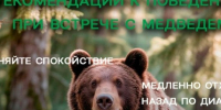 Рекомендации к поведению при встрече с медведем:. - Ермаковский район