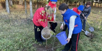 В Мари Турекском районе аллеи памяти бойцов заложили в восьми селах и деревнях - Pg12.Ru