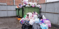 Абакан может утонуть в мусоре – в городе остановлен вывоз отходов - Агентство Информационных Сообщений