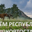 С Днём Республики! - Федерация профсоюзов РБ