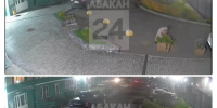 ‎Срезают и выкапывают цветы на клумбах непорядочные горожане в Абакане - Абакан 24