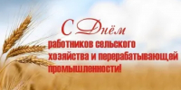 11 октября - День работника сельского хозяйства и перерабатывающей промышленности - Пролетарский район