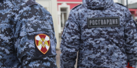 Более 20 правонарушителей на территории Вологодской области задержали сотрудники вневедомственной охраны Росгвардии за минувшую неделю - Росгвардия