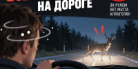 Главные опасности управления автомобилем в нетрезвом состоянии - Камская новь