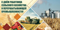 С C днём работника сельского хозяйства и перерабатывающей промышленности! - Администрация МР