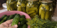 Эти солёные огурцы закрываю по 50 банок — хруст и вкус как из бочки: бабулин рецепт не подводит десятилетиями - Pg11.Ru