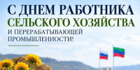 Магомед Рамазанов поздравил работников сельского хозяйства Дагестана с профессиональным праздником - РИА Дагестан