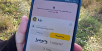 «Яндекс Еда» и «Алиса»: что еще не работает у курганцев - Область 45