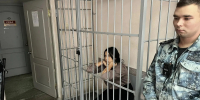 В Екатеринбурге участники этнической организованной преступной группы обвиняются в ряде преступлений (ФОТО) - Следственный комитет