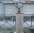 В Старгороде завершилась установка семи мини-фигур лосей - Миасский рабочий