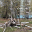 В 9-м микрорайоне Йошкар-Олы появилась внушительная груда старых бетонных столбов - Газета Йошкар-Ола