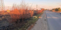 ГАИ просит оказать содействие: в Орске в ДТП погиб пешеход, водитель скрылся - ProOren.Ru