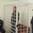 Очередной курьер мошенников сядет на скамью подсудимых в Костромской области - ГТРК Кострома