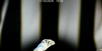 AaSbNmOPCSgVs4ZiDcFpFmGMNesglPBAYxMO1TZB6F8XUNHfks3SpDErvPiFy8C3l4wAa5 dJIiYIsJAdaNaJB Z - ФК Торпедо