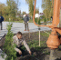 В поселке Зелёный Гай благоустроили и озеленили территорию - Michurinsk68.Ru