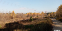 Второй класс пожароопасности установился в лесах Нижегородской области - Время Н