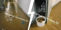 В Ярославле сильно затопило подвал новостройки — видео | Источник: Свободный Ярославль / Max - 76.Ru