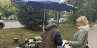 В двух округах Курска пресекли несанкционированную торговлю - Курская правда
