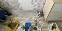 В Тверской области житель Ржева хранил в квартире марихуану и гашиш - Газета Вся Тверь