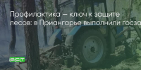 Поделитья во ВКонтакте - Братская Студия Телевидения