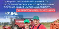 Численность работников сельхозорганизаций Псковской области выросла на 7,8% - Pln-Pskov.Ru