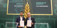 Картинка - Regions.Ru
