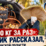 «По 100 кг за раз»: грибник рассказал, где в Ростовской области начался небывалый урожай грибов - Bloknot-Rostov.Ru