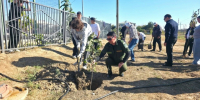 В Володарском районе посадили 50 адаптивных саженцев - Южная Волна