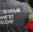 Бастрыкин потребовал доклад о нападении стаи собак на девочку в Кизеле - Комсомольская Правда