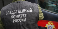 Бастрыкин потребовал доклад о нападении стаи собак на девочку в Кизеле - Комсомольская Правда