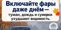 Главные правила безопасности на осенней дороге - Камская новь