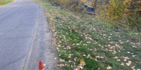 Под Волгоградом машина влетела в дерево, водитель погиб - Газета Городские вести