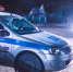 После погони со стрельбой задержали нелегального мигранта в Петербурге - Online47.Ru