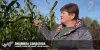 Отдает делу сердце и опыт: история главного агронома, посвятившей 40 лет совхозу «Архангельский» - Администрация Наро-Фоминского г.о.