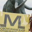 Добро.Центр Новоусманского района вошёл в число участников образовательного интенсива ТОП-150 - Новая Усмань Сегодня