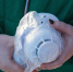 С начала года пожарные извещатели спасли 36 амурчан - ИА Порт Амур