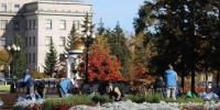 В Иркутске убирают цветы с городских клумб - КП-Иркутск