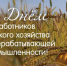с днем сельского хозяйства. - Шелаболихинский район