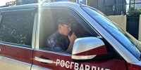 Итоги недели: раскрыто 12 преступлений и задержаны более 180 правонарушителей - Росгвардия