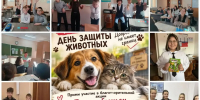 «Мы в ответе за тех, кого приручили»: как в школах и детских садах Алдана отметили День защиты животных - Минэкологии РС(Я)
