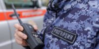 Росгвардейцы задержали молодого человека, похитившего товар из магазина электроники - ИА Новости Кузбасса