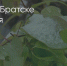Поделитья во ВКонтакте - Братская Студия Телевидения