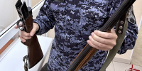 Cправку о наличии или отсутствии оружия можно получить дистанционно - Росгвардия