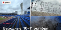 Радулов, Бастрыкин и алиментщик: собрали главные новости минувших выходных - YarNews.Ru