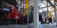 фото: стоп-кадр видео с канала в МАХ администрации Грозного - НИА-Кавказ - Чечня