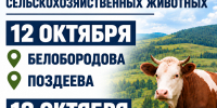 Важная информация для владельцев сельскохозяйственных животных. - Администрация Черемховского района