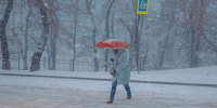 Тематическое фото Мария Смитюк, ИА PrimaMedia.ru - AmurMedia.Ru