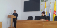Заседание рабочей группы по подготовке и проведению фестиваля художественного творчества детей с ОВЗ «Вместе мы сможем больше». - Александровский муниципальный округ