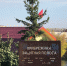 image-09-10-26-03-52-1 - OrelTimes.Ru